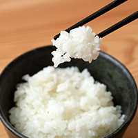 Tsuyahime rice / Koshihikari rice grown in Kyotango, Kyoto